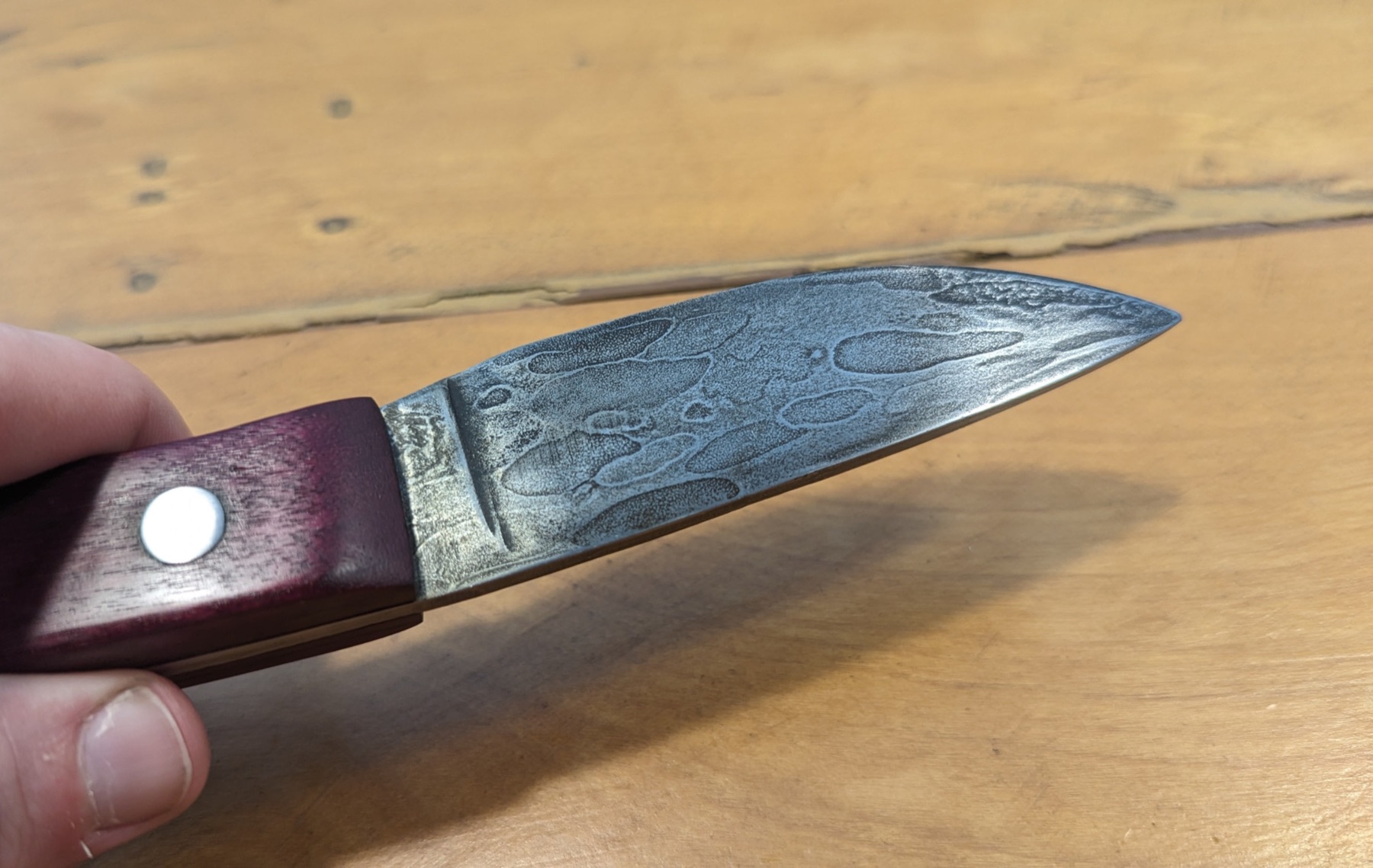 Ballbearing Steel Steak Knife